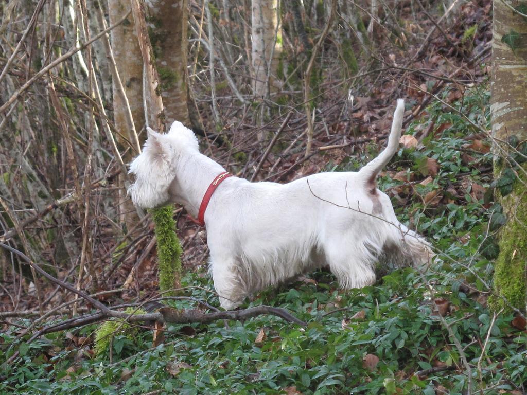 Hermitage St Roch 4*