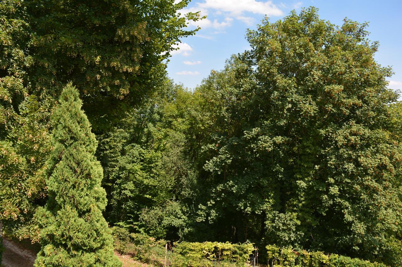 Guest house Hermitage St Roch Arc-en-Barrois